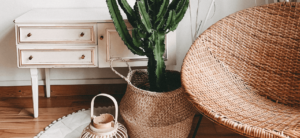 Mehr über den Artikel erfahren Natural accessories for your home